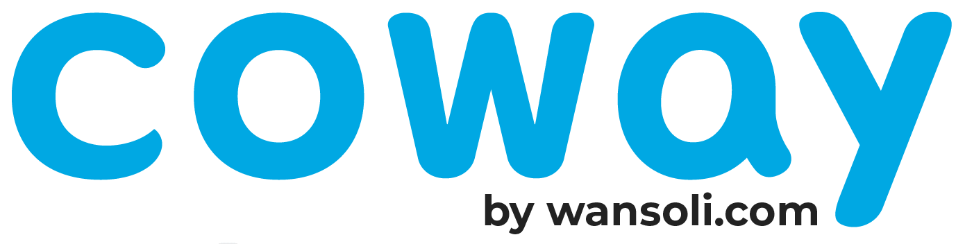 wansoli.com